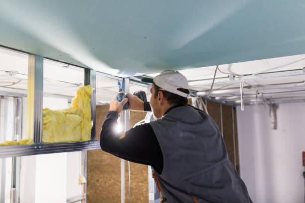 Best Cellulose Insulation in Ansonia, OH