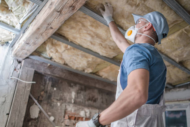 Best DIY Insulation Kits and Guidance in Ansonia, OH