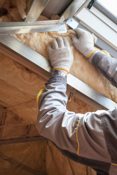 Best Specialized Insulation Services in Ansonia, OH